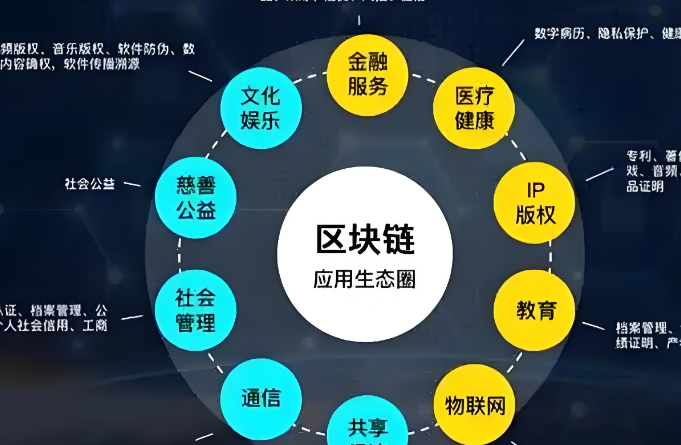 项目案例3